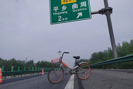 案例展示